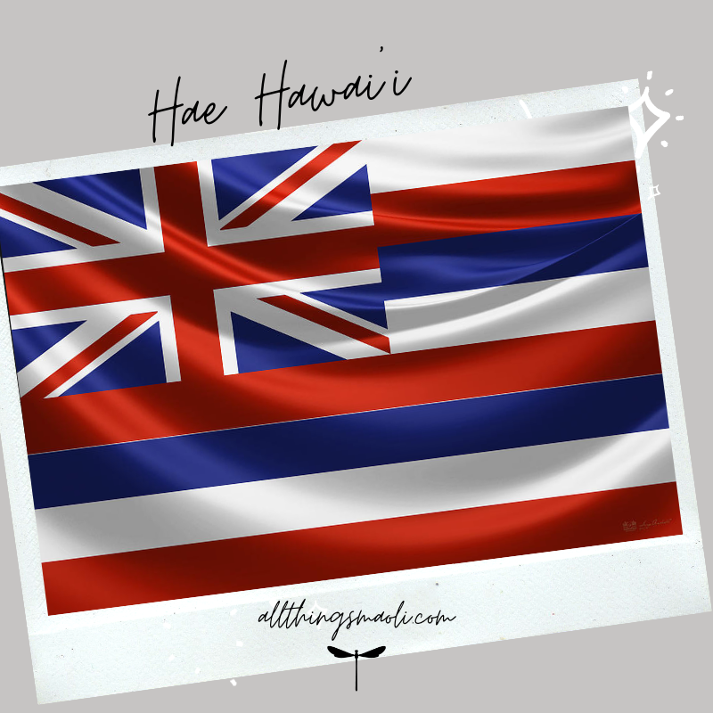 All Things Maoli Hae Hawaii Windbreakers - Hae Hawaii